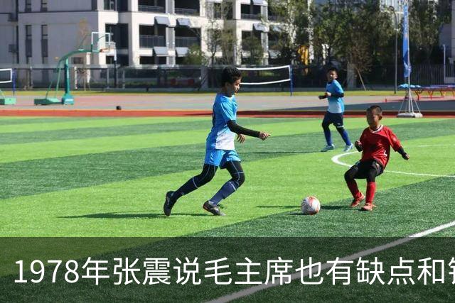 1978年张震说毛主席也有缺点和错误，邓小平大喜：这个部长懂政治